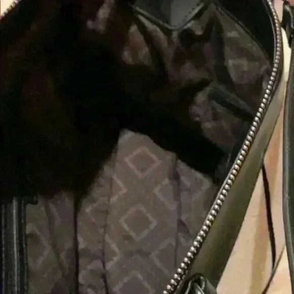 Satchel - Picture 6 of 7